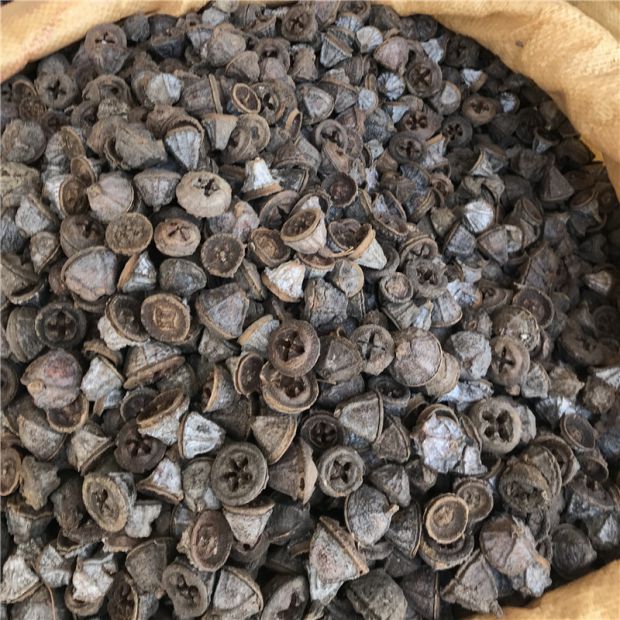 云南野生 一口钟 中药材 一口盅 中草药 泡酒料 特产 药酒料正品