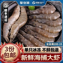 Ecuadorian white shrimp Fresh sea catch prawns Fresh frozen oversized prawns base shrimp green shrimp seafood aquatic products