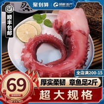 Octopus feet Fresh frozen big squid bearded octopus Spicy instant sashimi oversized whole cooked seafood aquatic products
