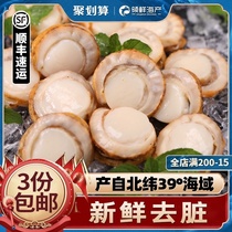 Scallop meat Garlic vermicelli shrimp Hawaiian scallop Extra large super fresh fresh frozen seafood Aquatic ready-to-eat