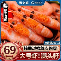 Head seed arctic shrimp Sweet shrimp ice shrimp tiger shrimp base wai sea shrimp with seeds to eat raw ready-to-eat frozen black tiger shrimp seafood gift box