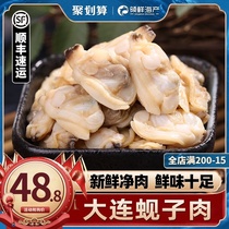 Dalian clam meat fresh fresh frozen seafood aquatic clam meat yellow clam clam dried goods spicy ready-to-eat