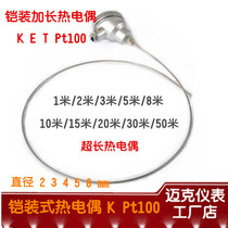 WRNK armored thermocouple extended temperature measurement ultra-long temperature probe WZPK large electric furnace furnace monitoring sensor
