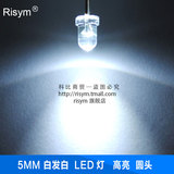 risym发光led白发5mm高亮白色f5二极管led灯