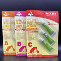 petsnsun pooch kittens tipper