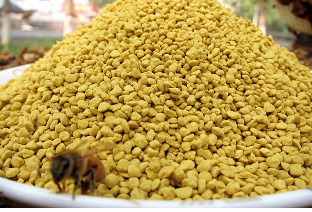 2斤包邮 纯天然青海油菜粉 油菜蜂花粉无需破壁 自产男士必备正品