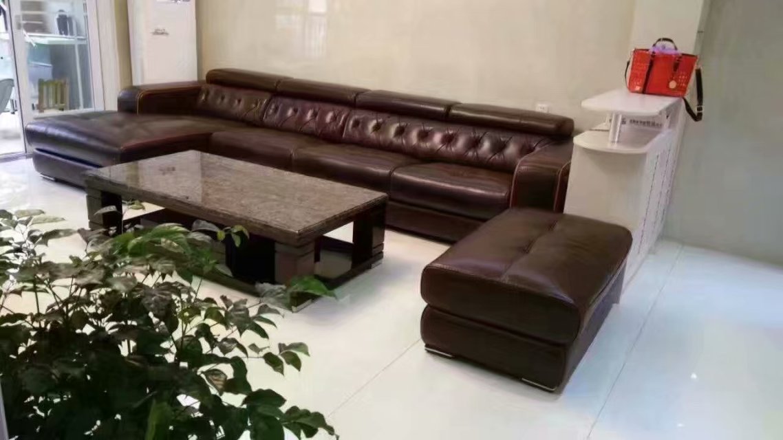 zy2842q high end sofa