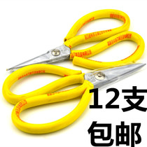 Fujian Jizhong Kyrgyzstan household scissors office scissors small iron wire scissors tailor leather carton scissors