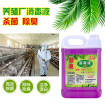 Chicken farm biological deodorant Chicken manure cowshed Sheep breeding plant Bamboo rat sterilization disinfectant Pig farm ammonia removal