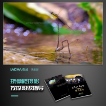 Old frog lens Guago macro teaching insect flower specimens Light up old frog 100 micro single fixed focus micro world