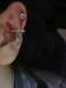 Tangluo Sweet and Desire Pearl Ear Bone 클립 여성 고급 간단한 통증이없는 귀 피어싱 이어 클립 조절 가능한 2024 새로운 트렌드 Tangluo Sweet and Desire Pearl Ear Bone 클립 여성 고급 간단한 통증이없는 귀 피어싱 이어 클립 조절 가능한 2024 새로운 트렌드