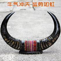 Natural black buffalo horn diagonal ornaments office living room home crafts ox year Shui Zhaocai town home gift