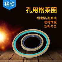 Hole glyd-ring hydraulic cylinder seals 45 48 50 52 53 55