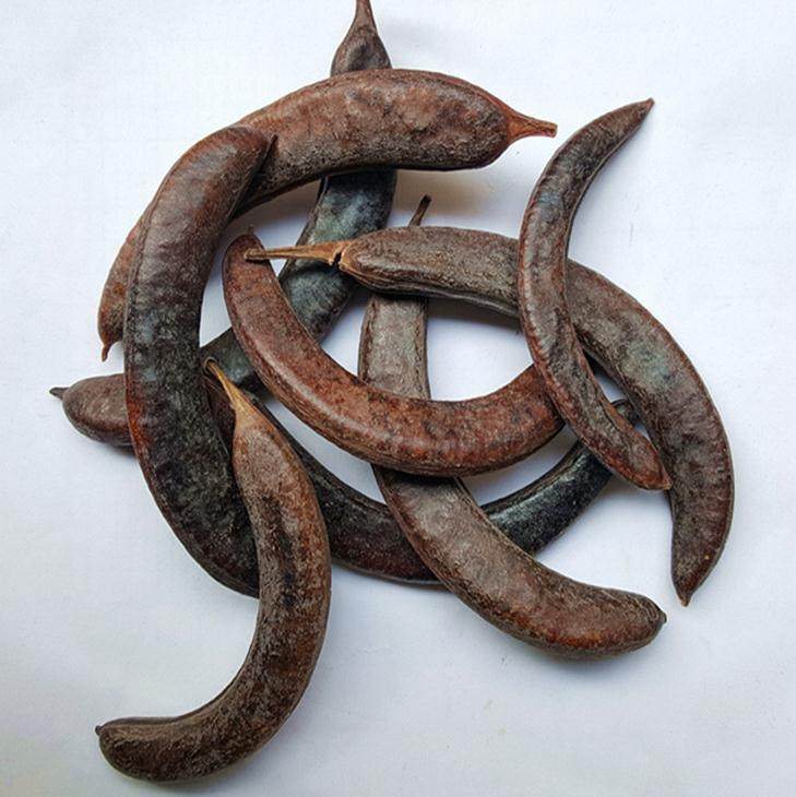 猪牙皂角 小皂角 饱满牙皂 皂荚 小皂荚 500克25元包邮