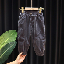 Baby and child casual pants boys autumn and winter new foreign trousers baby winter Korean version of thick corduroy pants tide