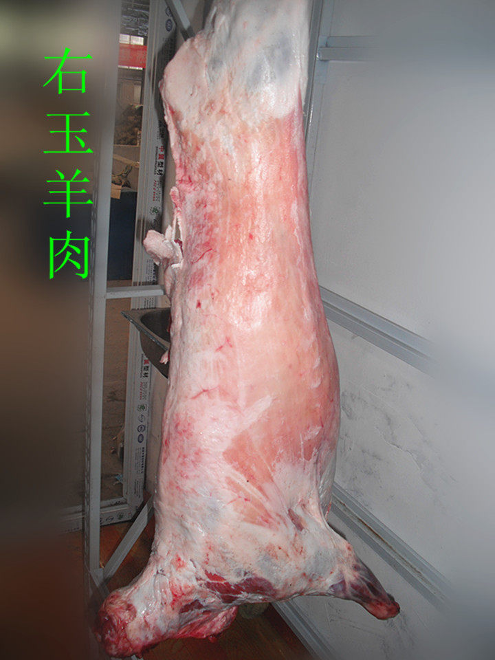 右玉农家绵羊肉 散养新鲜羔羊肉 羊肉串羊蝎子羊排羊腿烧烤食材