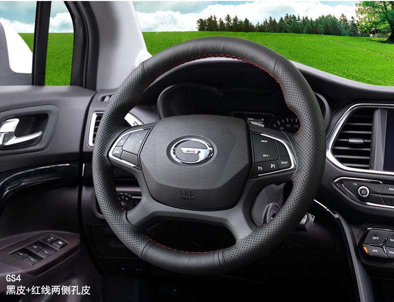 Trumpchi customized models-1_05.jpg