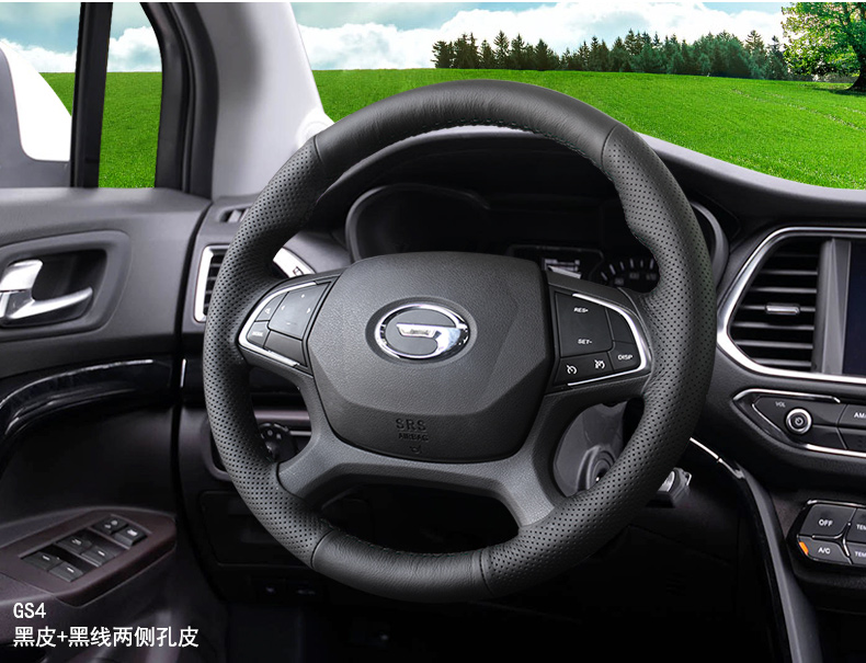 Trumpchi customized models-1_06.jpg