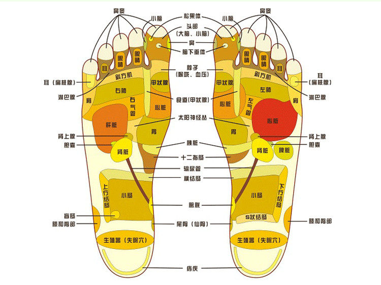 脚底按摩足疗鞋脚底足浴盆器拖鞋穴位刺激保健木质足底足部按摩鞋