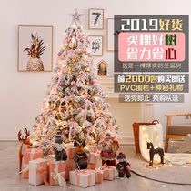 Christmas 1 5m 1 8m 2 1m Net red ins flocking Christmas tree package Cedar window decoration simulation tree
