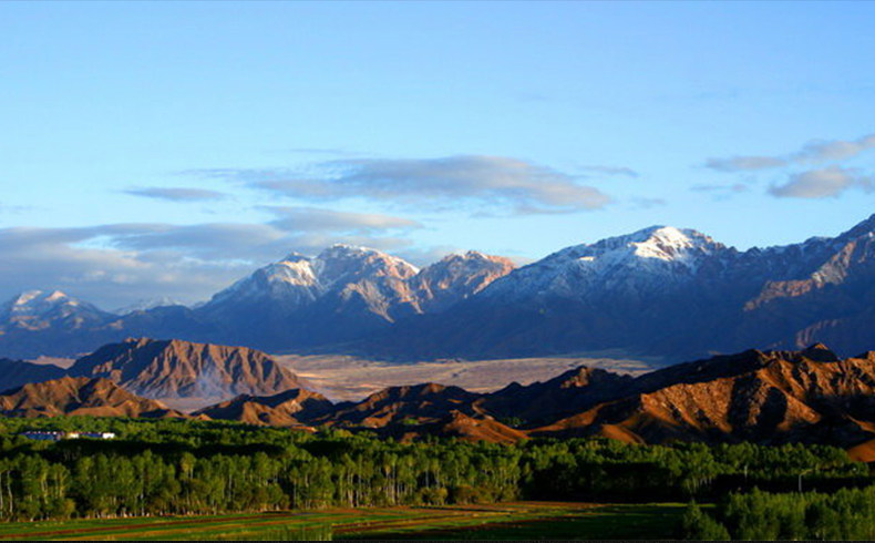 正青海特产大颗粒红枸杞苟纪子王pk宁夏中宁特级500g免洗干吃构杞