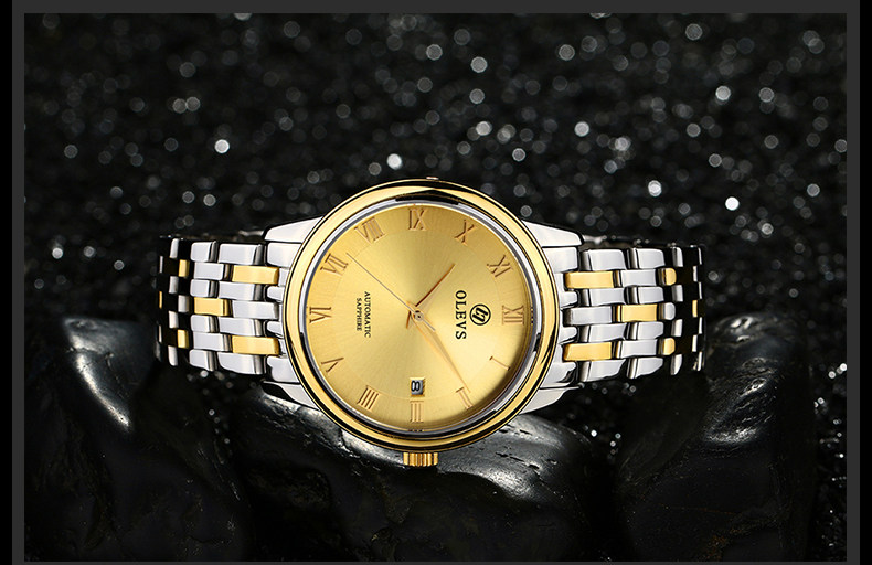 欧利时 全自动机械男表 日历防水背透机械男表