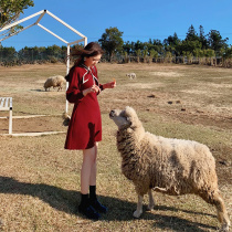 Spring 2021 female French cherry red knitted dress autumn and winter small Hepburn style small red skirt
