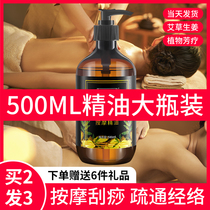 Agrass Old Ginger Essential Oil Massage Full Body Meridians Meridians Meridians Pushback Scraping Essential Oils Plant Body Beauty Salon Special