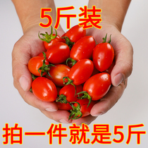 5kg fresh cherry tomatoes non-Hainan Millennium Persimmon seasonal fruit tomatoes pregnant women