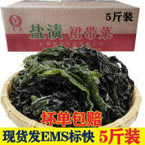 Wakame a box of 5 pounds of dry goods cold salad fresh sea vegetables Seaweed vegetables seaweed silk salted kelp seedlings sea cabbage