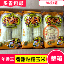 Nian Xiangyu northeast white corn cob 20 corn cob meal replacement soft waxy sweet sticky glutinous waxy chewing family