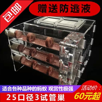 Xiaomo Ant Hall Acrylic bamboo floor nest ant nest imitation ecological nest test tube nest birthday gift