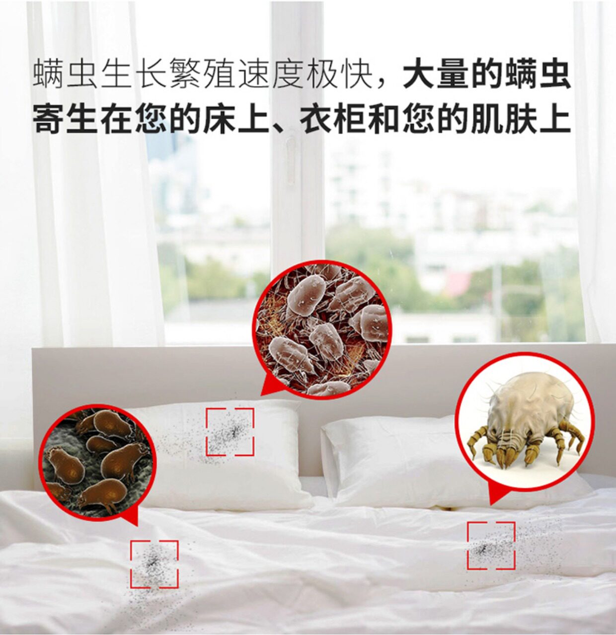 螨虫天敌中草药除螨包床上用去螨虫沙发衣柜诱螨杀菌免洗除尘螨贴_优
