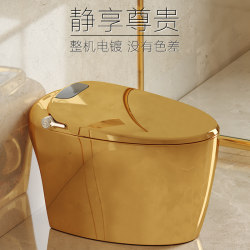 European gold smart toilet speech bubble shield integrated fully automatic induction household matte black heated toilet