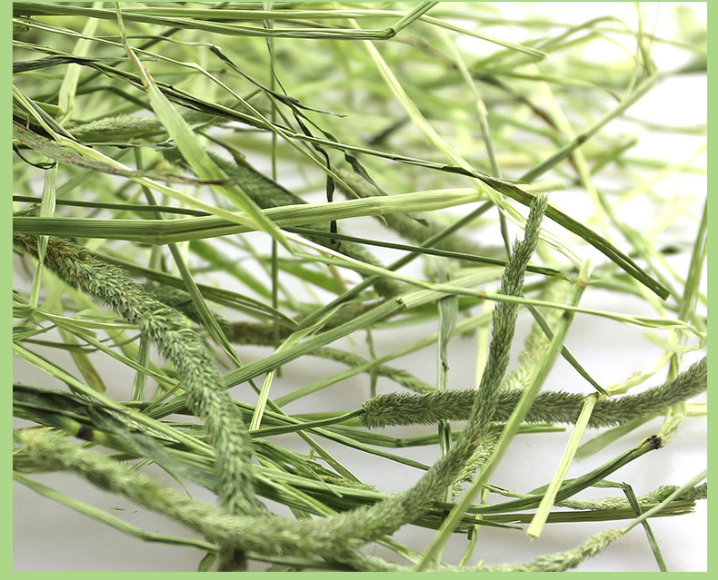 1包包邮2018新提荷兰草摩西猪饲料兔粮龙猫干草500g