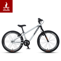 Shanghai Phoenix Childrens Bicycle 20 Inch Aluminum Mountain Bike Girl Boy Primary School Student Bike