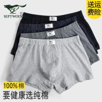 Seven Wolf Underpants Pure Cotton Ping Jar Pants Full Cotton Permeable Old-age Shorts Relaxed Men Underpants Pierced Pants