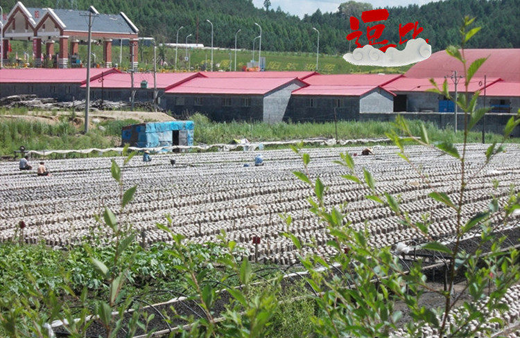 购买木耳之前,先带大家看一下木耳的产地,绝对是拍哦.