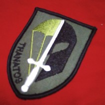 German EGB Arm Chapters Green Spartan Magic Sticker