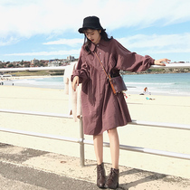 Pregnant womens dress dress autumn wear 2019 new autumn winter Net red spring Super fairy long loose doll shirt