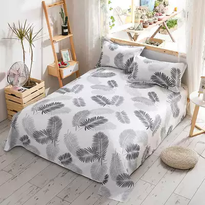 Bed sheet pillowcase 2 piece set 1 2 x2 m x2 3 pad single sheet quilt single meter five sheets single piece Nordic style simple