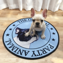 Fa Dou Teddy Chaiu Koki dog mat dog head pattern foot mat non-slip pet mat Four Seasons nest mat