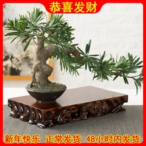 Taishan stone rectangular pure hand-made root carving piece wooden buckle