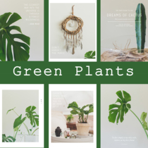 ins Nordic wind frescoed large leafy green plant room decoration painting photo wall photo prop shoot the magazine cover a4