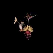 PRINT:H) SHIDUO The Milky way Decorative painting