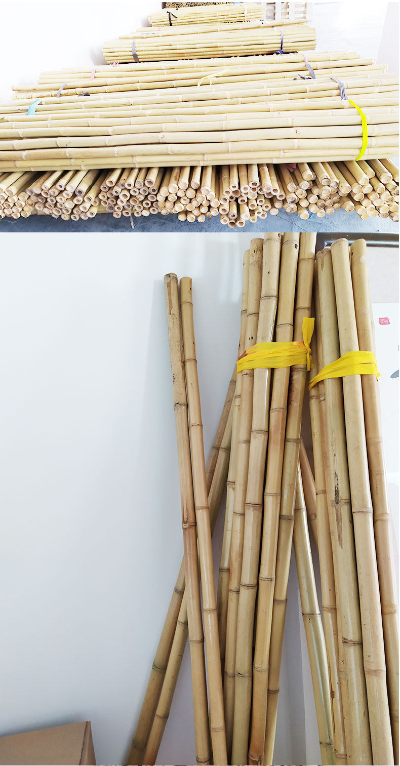 舞龙道具龙杆竹子木制铝合金不锈钢舞狮龙头龙尾五千年东方龙灯