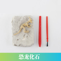 Fat Dragon Childrens science and technology small production Science experiment diy archaeological dinosaur fossils Fun science teaching aids