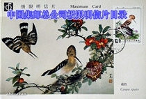 China National Philatelic Corporation Limits Postcard Catalogue 1982-2014 Digital electronic version Special-free mail