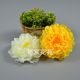 17CM peony flower dance prop flower simulation ຂະຫນາດໃຫຍ່ peony ດອກຫົວຜ້າໄຫມຜ້າດອກໄມ້ກໍາແພງ DIY headdress ປອມແປງດອກໄມ້