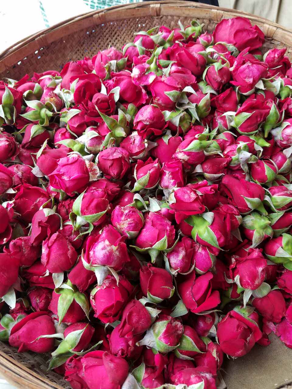 云南大宝新鲜墨红花朵现摘可食用重瓣红玫瑰花蕾花苞3斤低价包邮